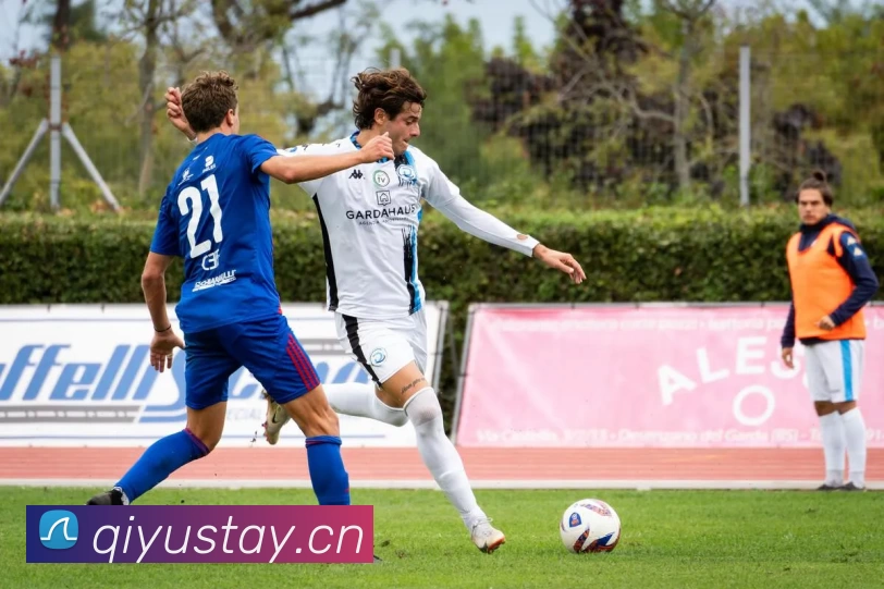 NBA冠军预测模型更新凯尔特人夺冠概率升至百分之六十八